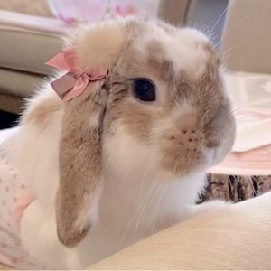 Meet your Posher, Kiera